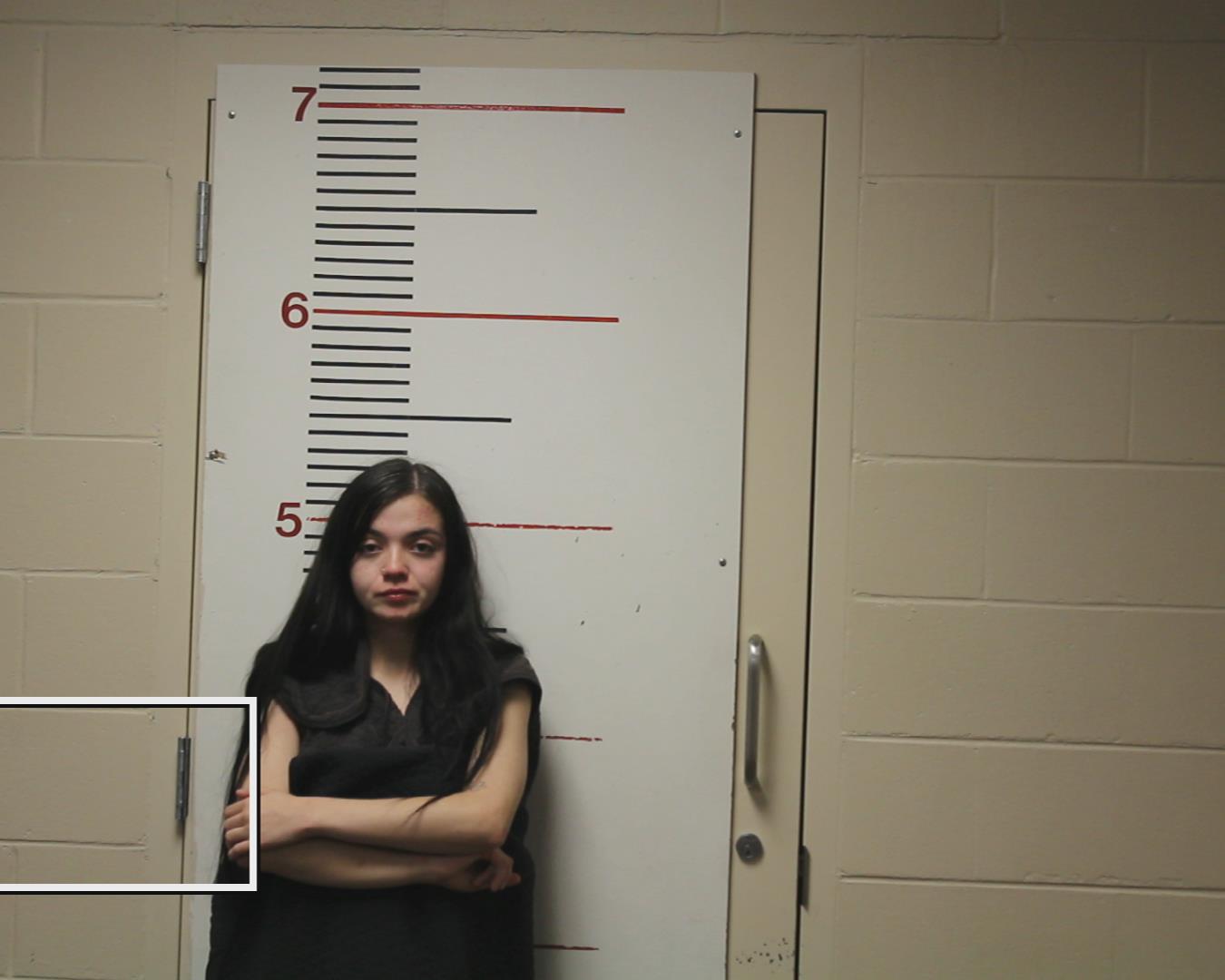 KROLL, KAYLEE ANN booking photo