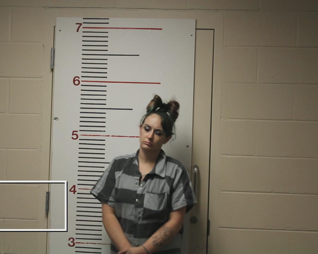 STREY, JESSI DAWN booking photo