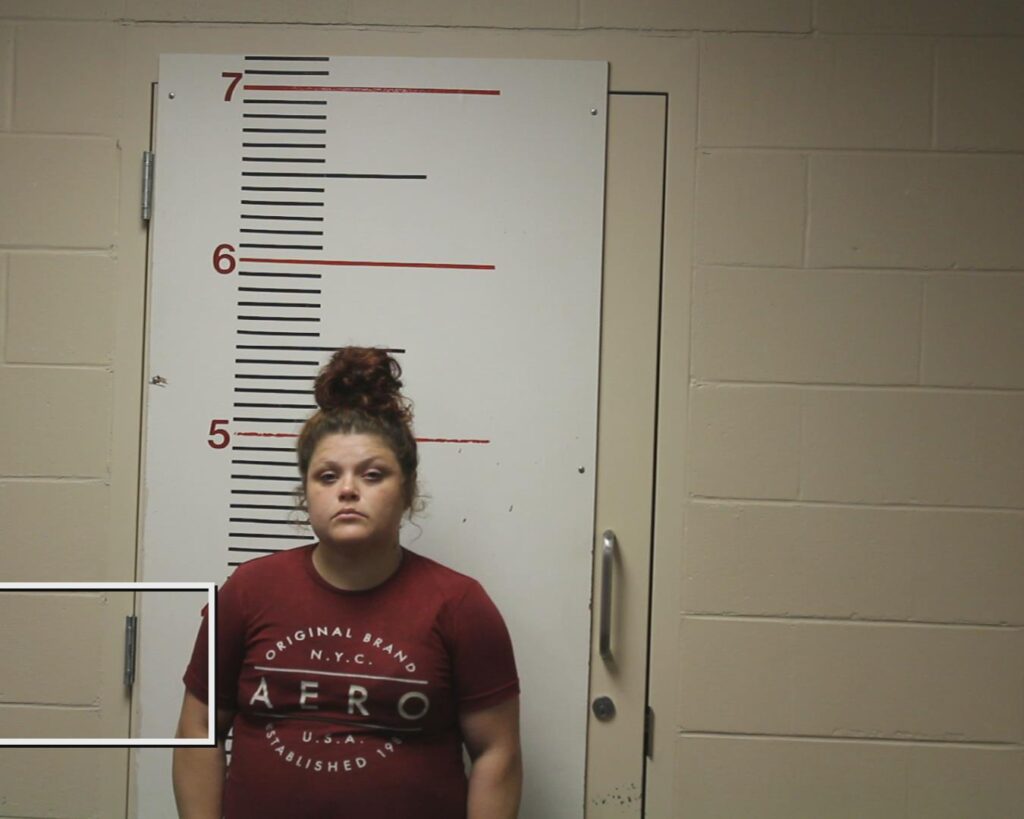 MANN, CRISTINA LYNN booking photo