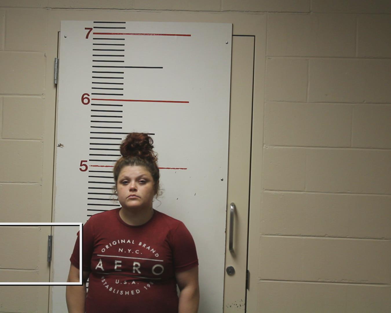 MANN, CRISTINA LYNN booking photo