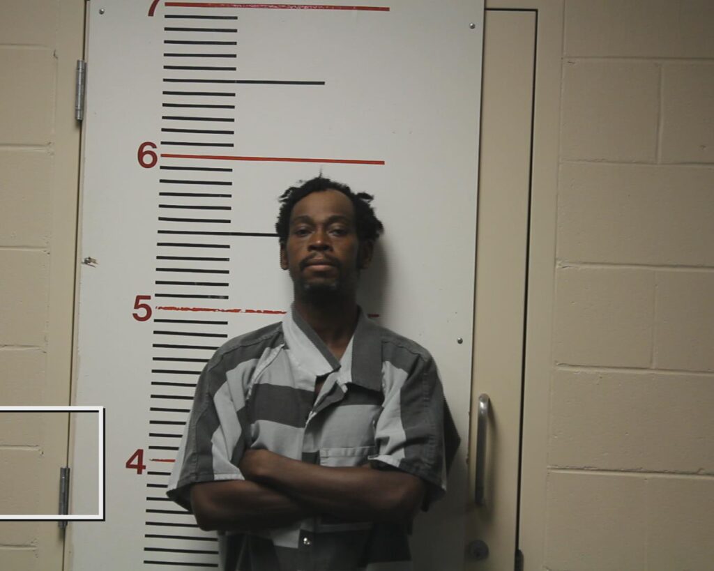 DAVIS, MELVIN LEE booking photo