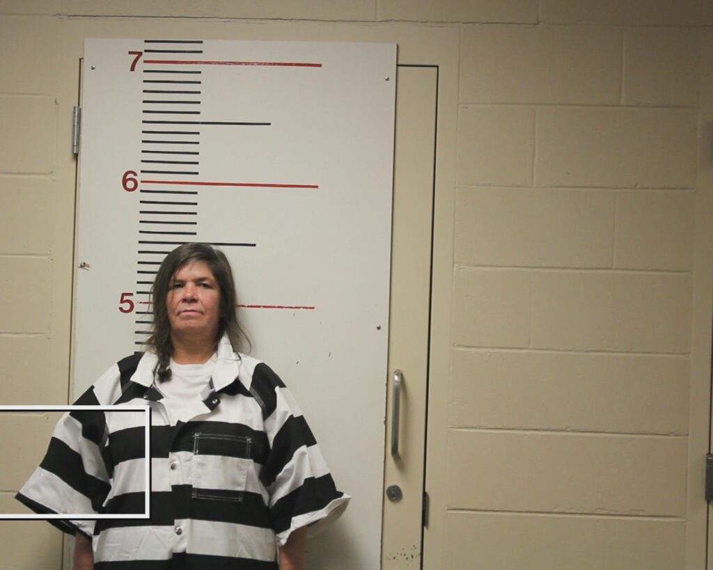 DAVIS, PAMELA D booking photo