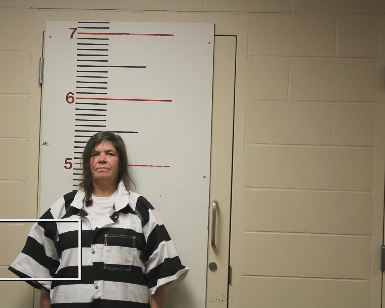 DAVIS, PAMELA D booking photo