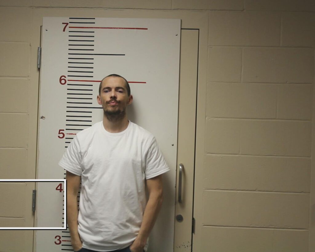 LOGGAINS, VICTOR LEVON booking photo