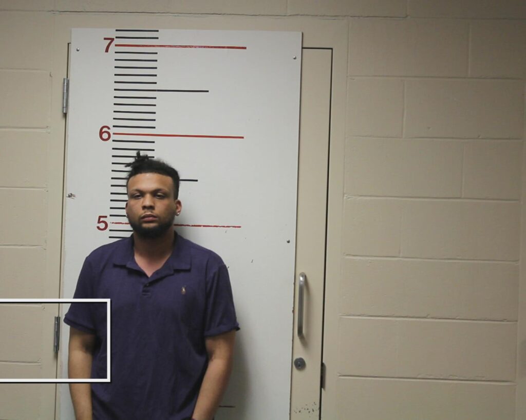 MCKENZIE, TAYLOR booking photo