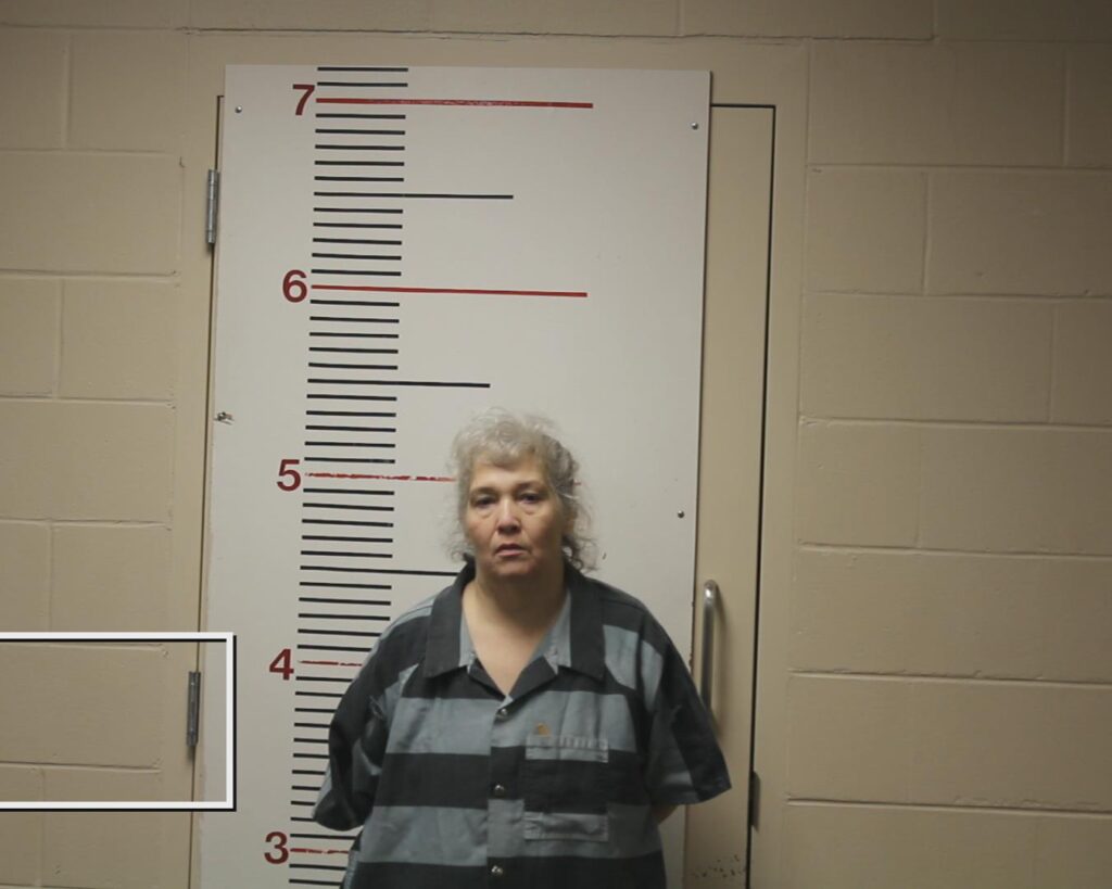 WILLIAMS, CHERRIE NELL booking photo