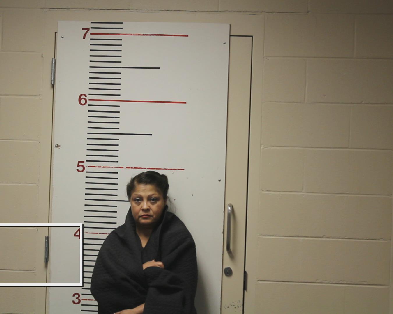 MENDOZA, ROSALINDA ARTEAGA booking photo