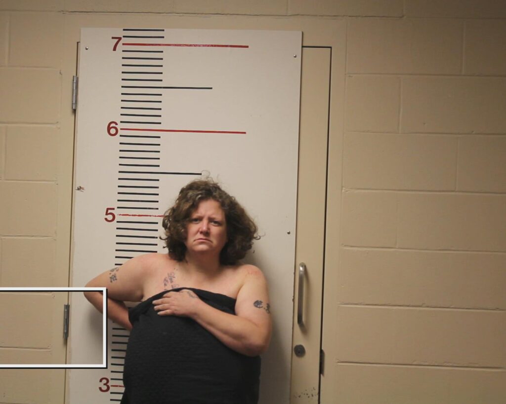 MCGILL, CYNTHIA LOUISE booking photo