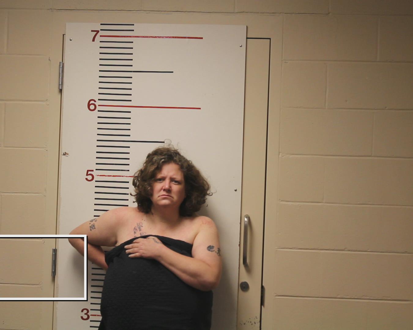 MCGILL, CYNTHIA LOUISE booking photo