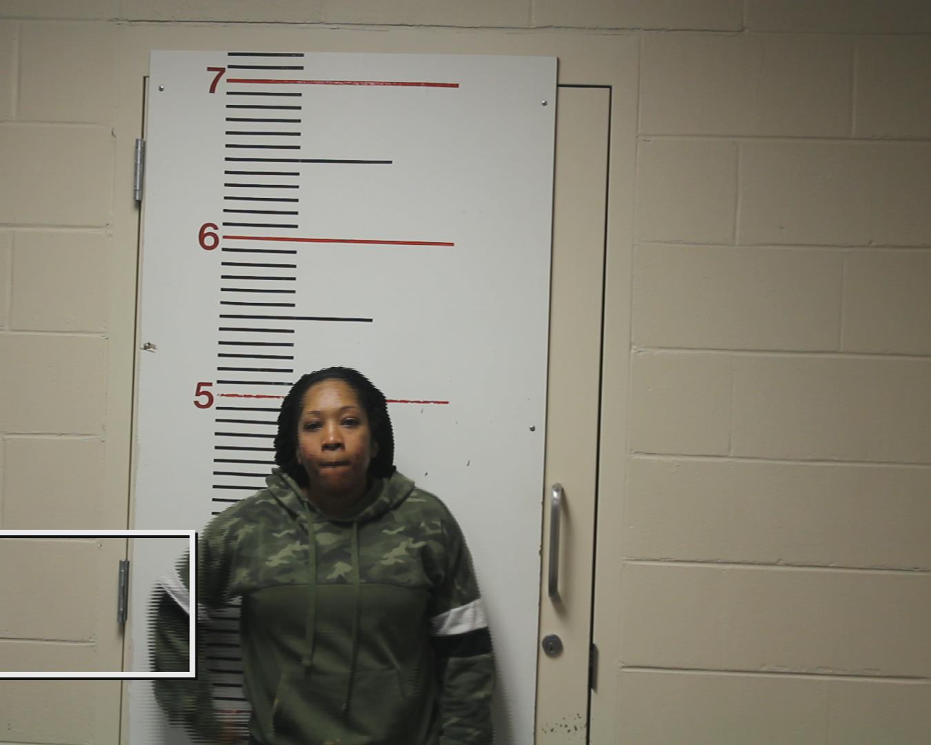 MCILVEEN, VENECIA QUARTERE booking photo