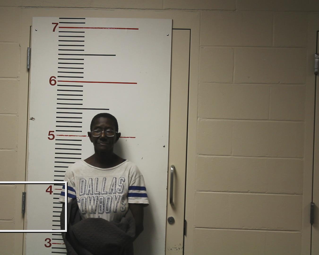 BRANTLEY, SHELIA EVANS booking photo