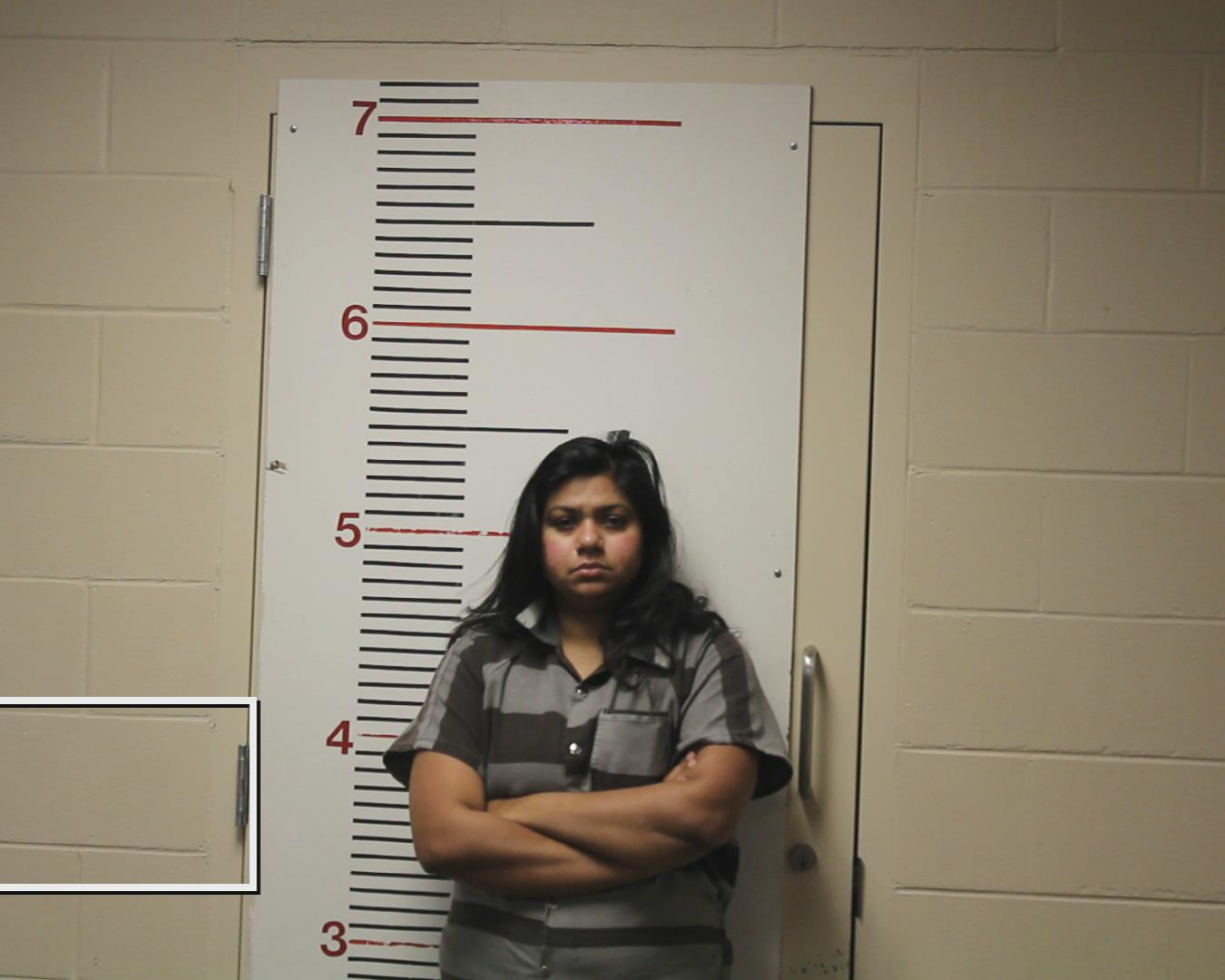 ALI, NAZIA booking photo