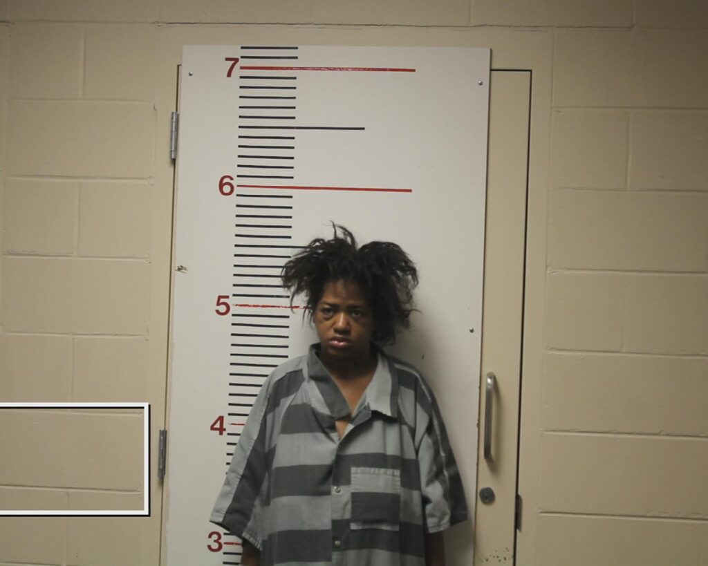 PIPKIN, NATALIE NICOLE booking photo