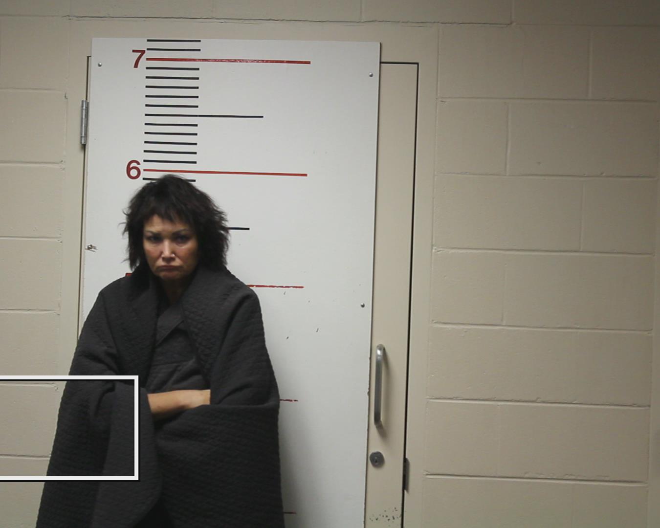 BRIDGES, LISA DENIECE booking photo