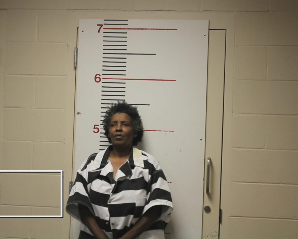 Elliott, Vivian Denise booking photo