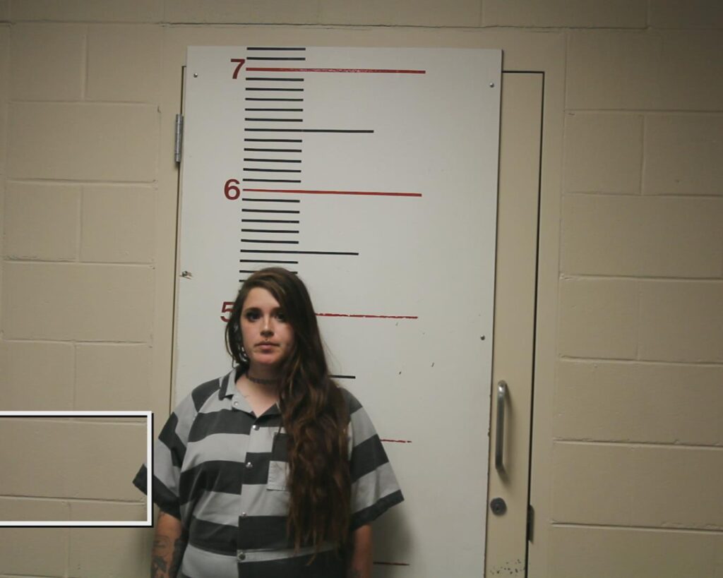 COLLINS, CHEYENNE MARIE booking photo