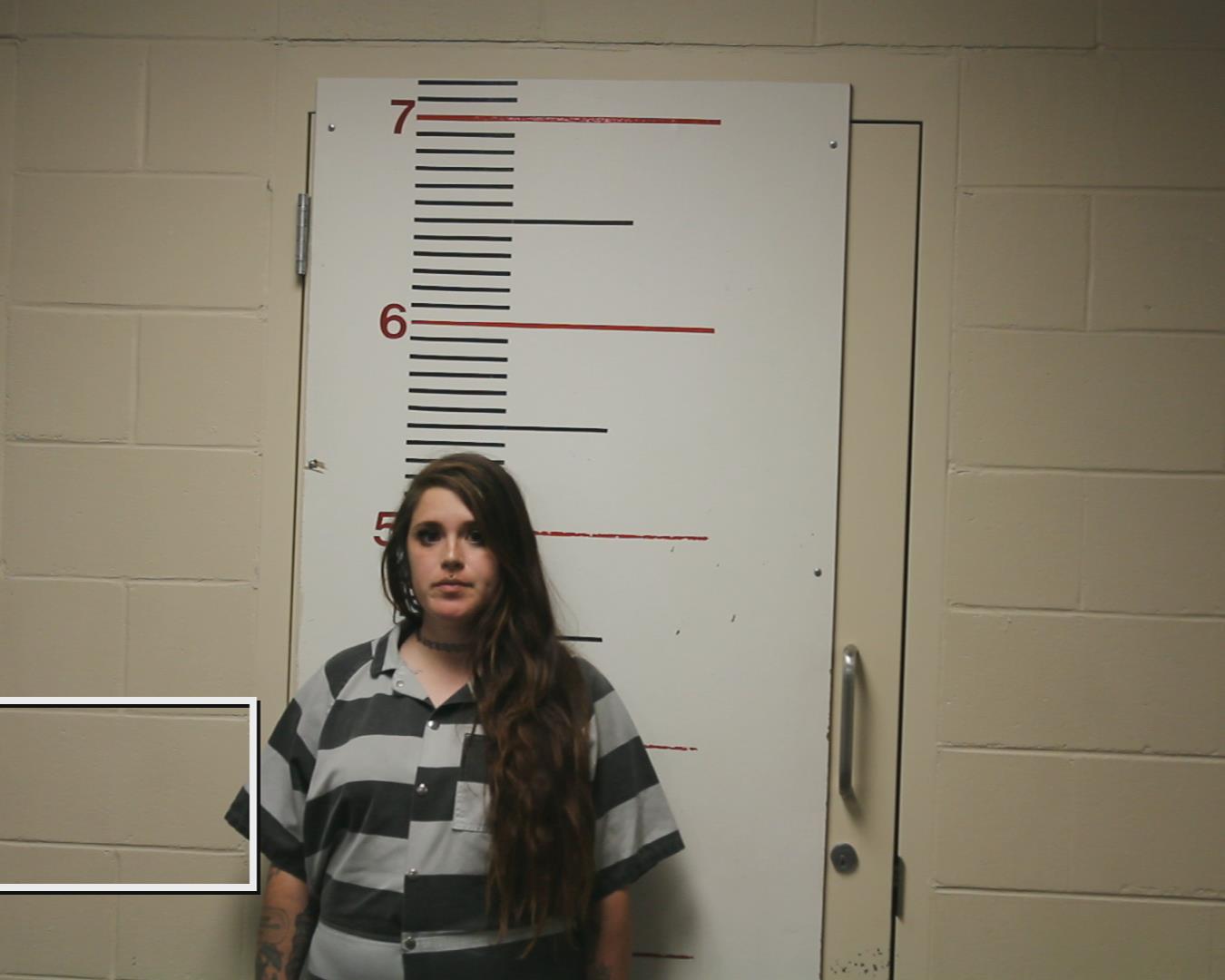 COLLINS, CHEYENNE MARIE booking photo