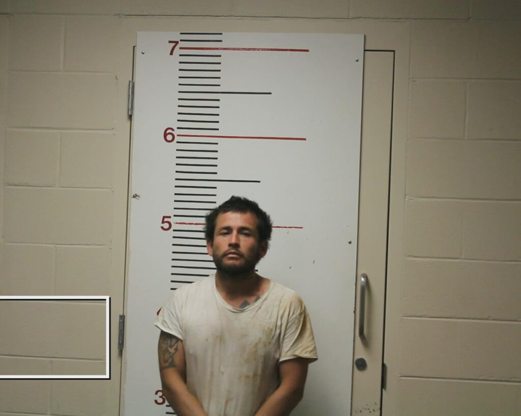 LIMON, JOSE ROBERTO booking photo