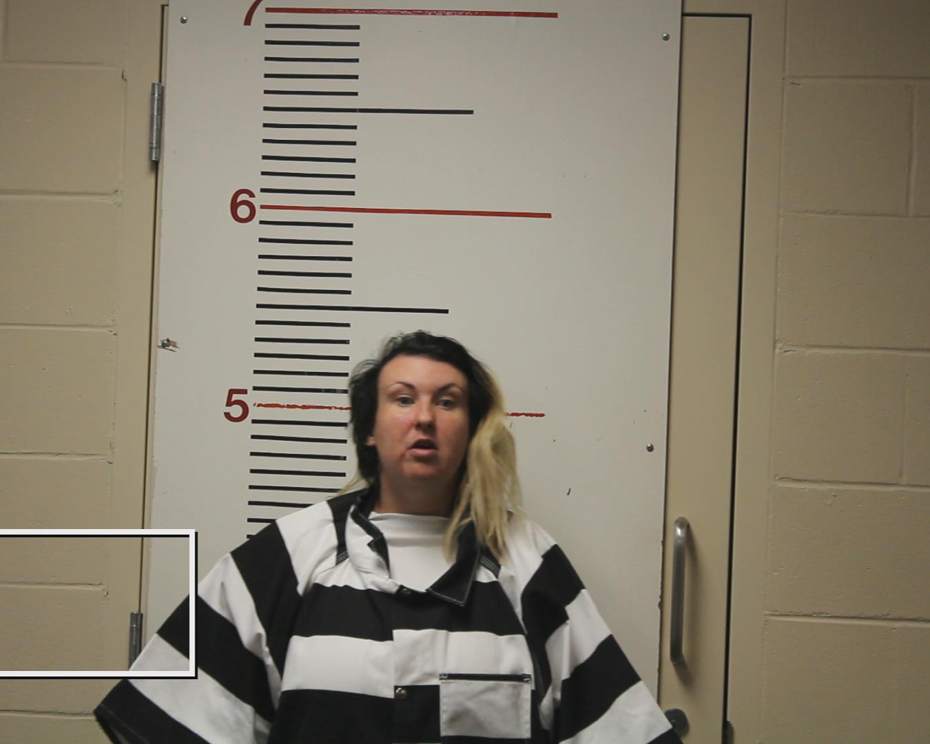 JONES, CHELSEA NICOLE booking photo