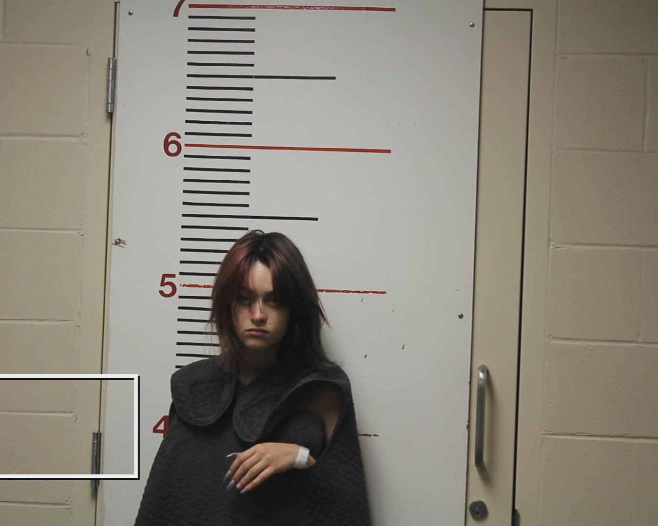 TOUDOZE, SUSSANAH ALAINE booking photo