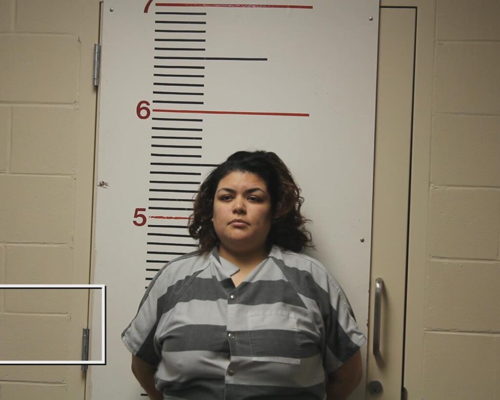 RODRIGUEZ, JANELLE booking photo
