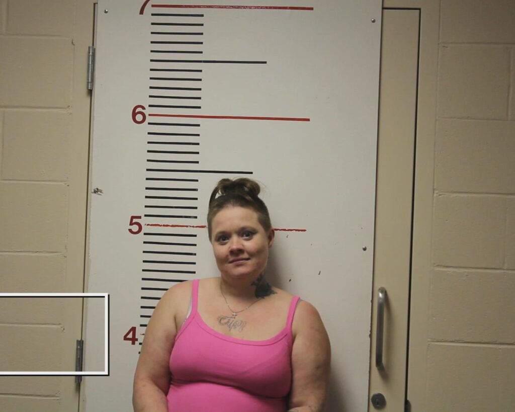BERRYHILL, CANDACE DEANN booking photo