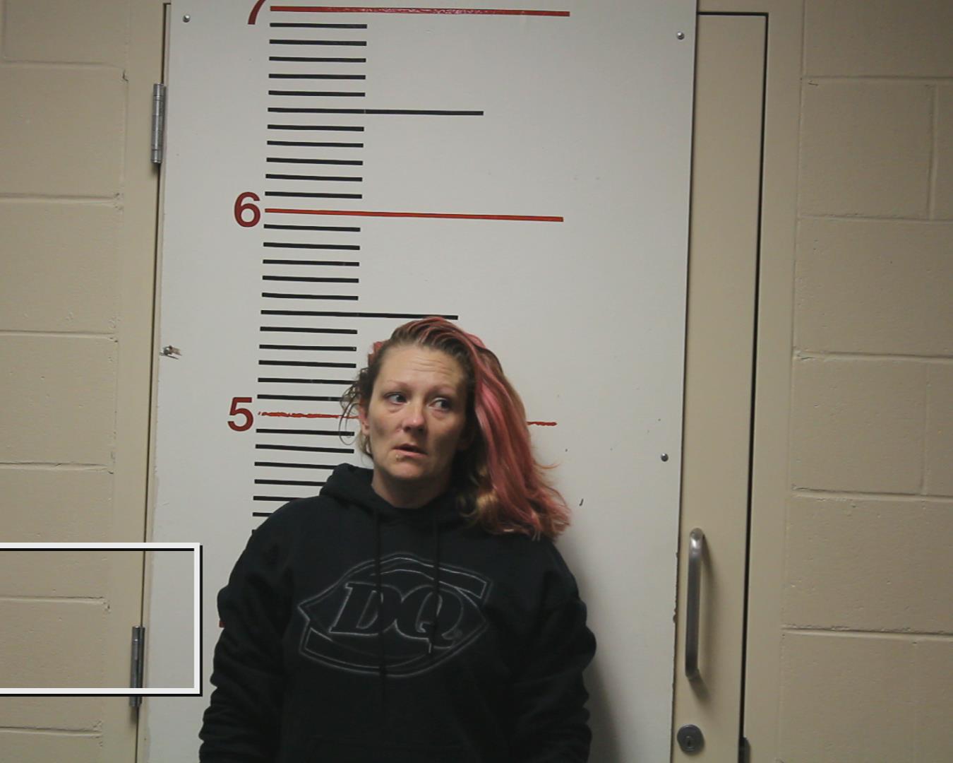 FLOWERS, VICTORIA LYNN booking photo