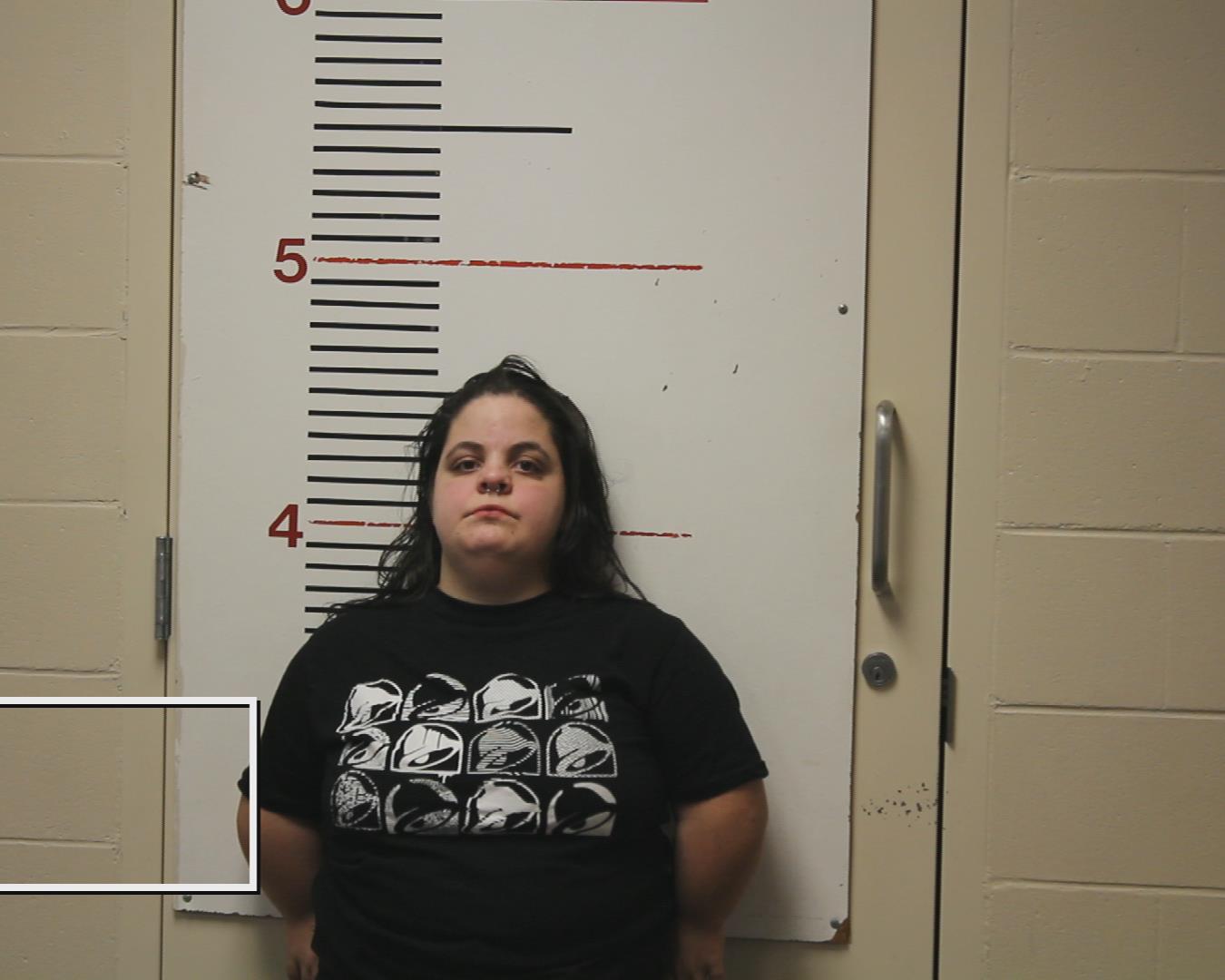 WILLIAMS, SARAH DAWN booking photo