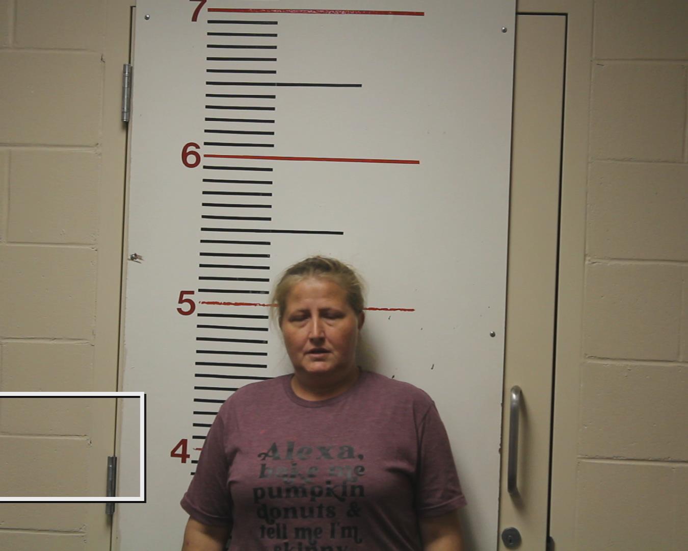 FISHER, CRYSTAL NADINE booking photo