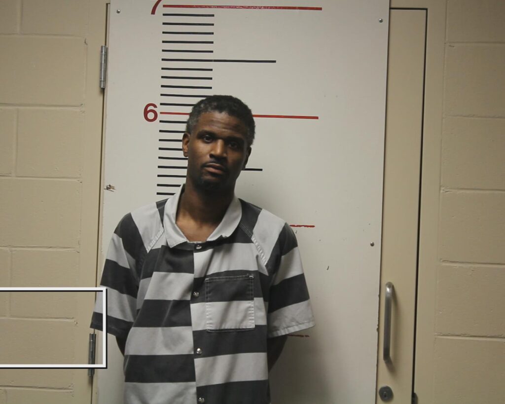 MICKENS, LEON JERMANE arrested in Anderson County, Texas mugshot
