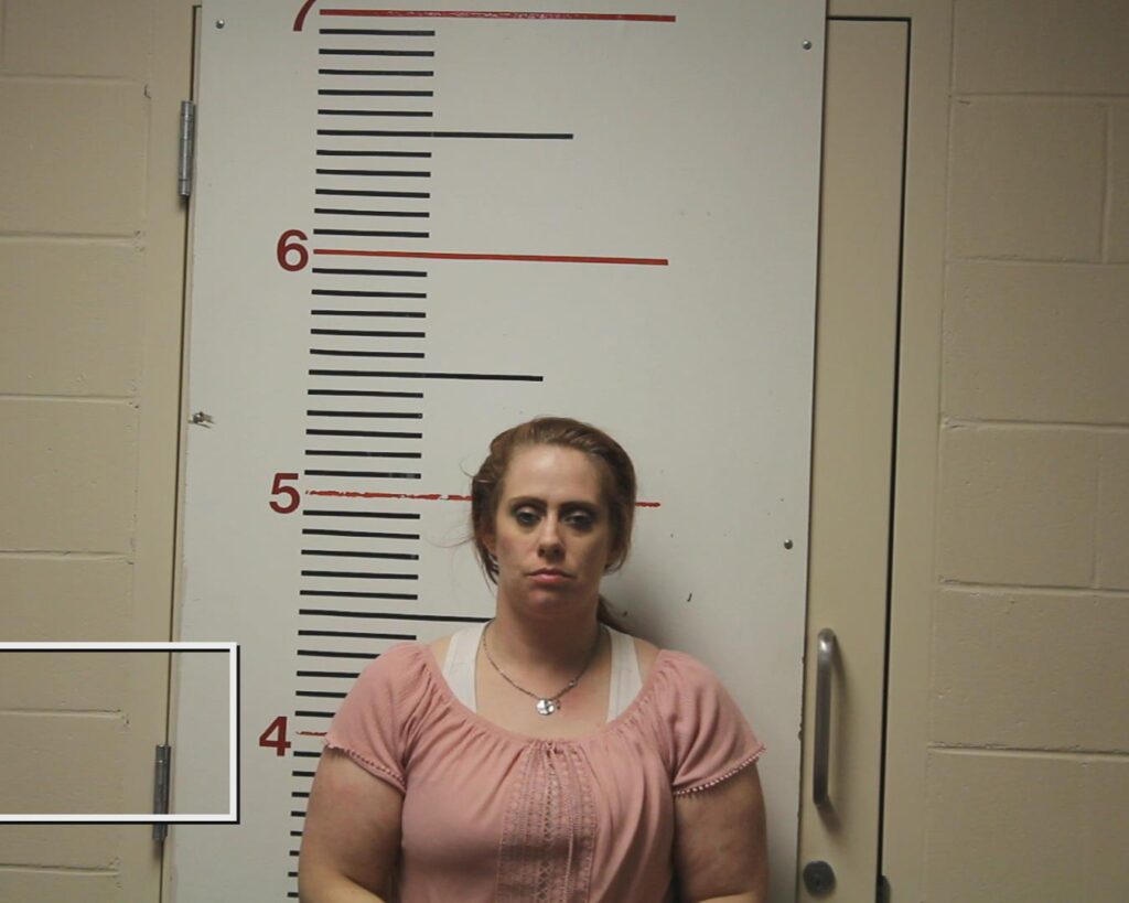 Zator, Tonya arrested in Anderson County, Texas mugshot