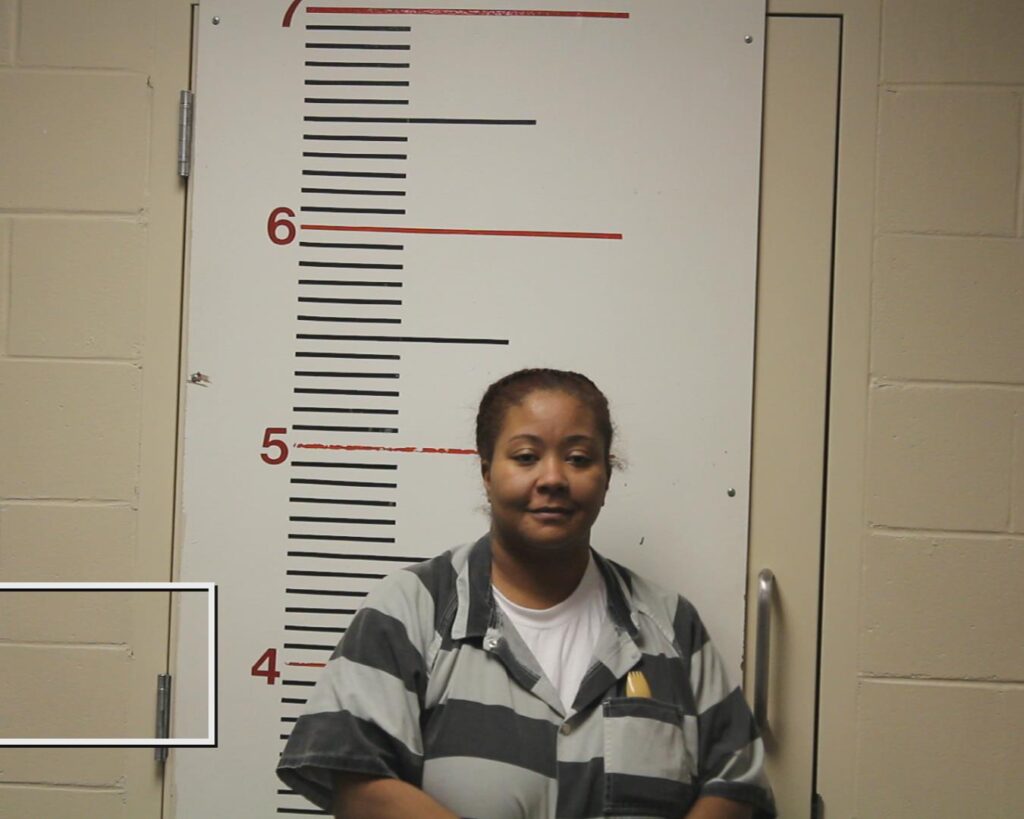 MIMS, STEPHANIE MARIE arrested in Anderson County, Texas mugshot