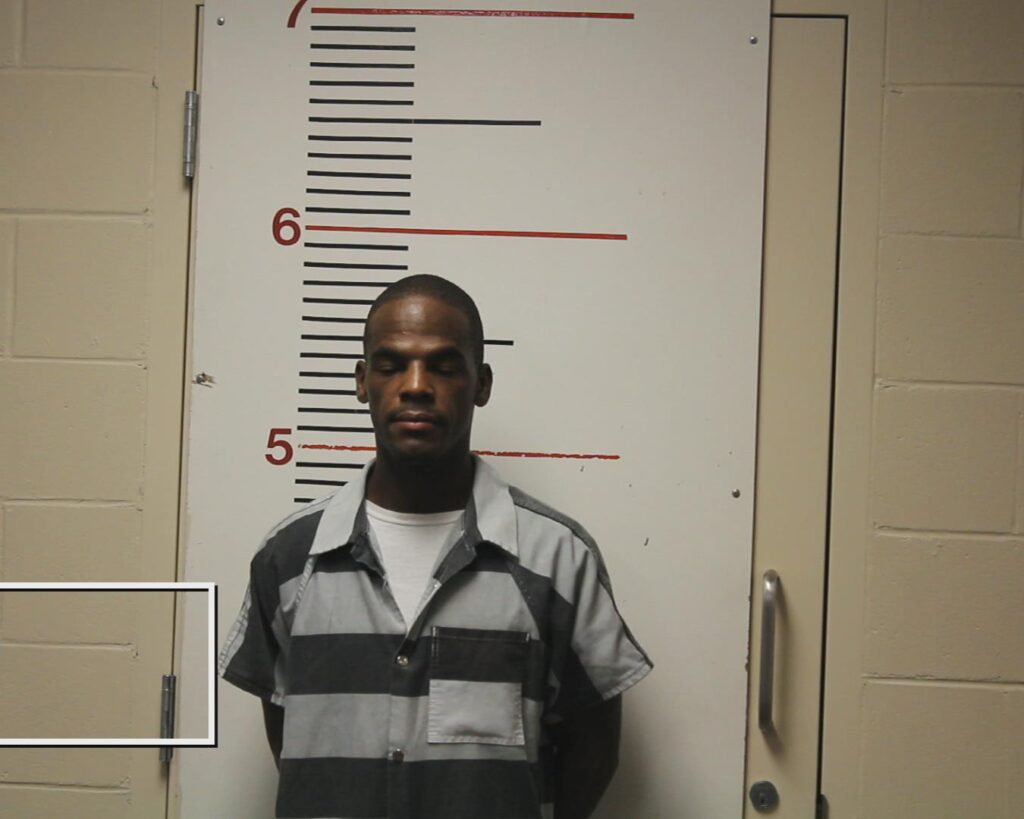 NELSON, ANTHONY JOSEPH-HAYWOOD arrested in Anderson County, Texas mugshot