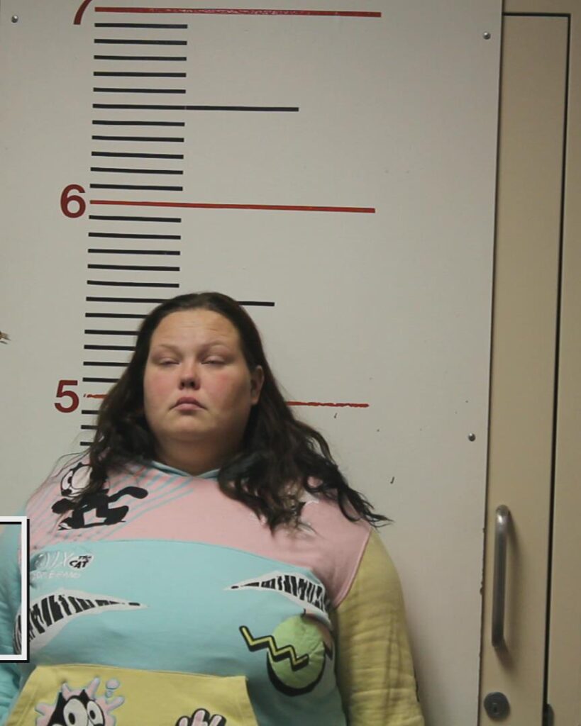 WHITE, KAITLYNN MARY arrested in Anderson County, Texas mugshot