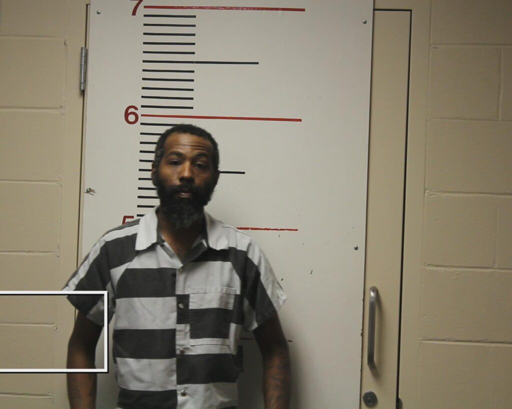 DAVIS, LAWRENCE LEVON arrested in Anderson County, Texas mugshot