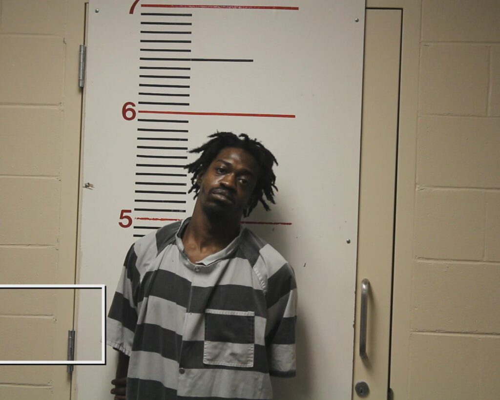 BROWN, ORELESSA DERREON MARQUIS arrested in Anderson County, Texas mugshot