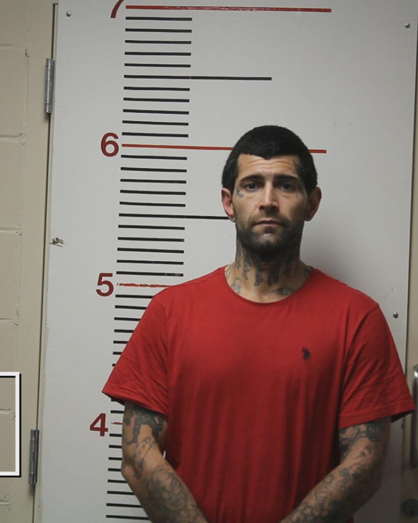 RICHARD, CHRISTOPHER WYNN arrested in Anderson County, Texas mugshot