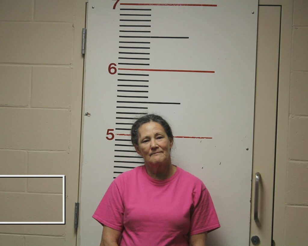 TILLMAN, BRENDA GAIL arrested in Anderson County, Texas mugshot