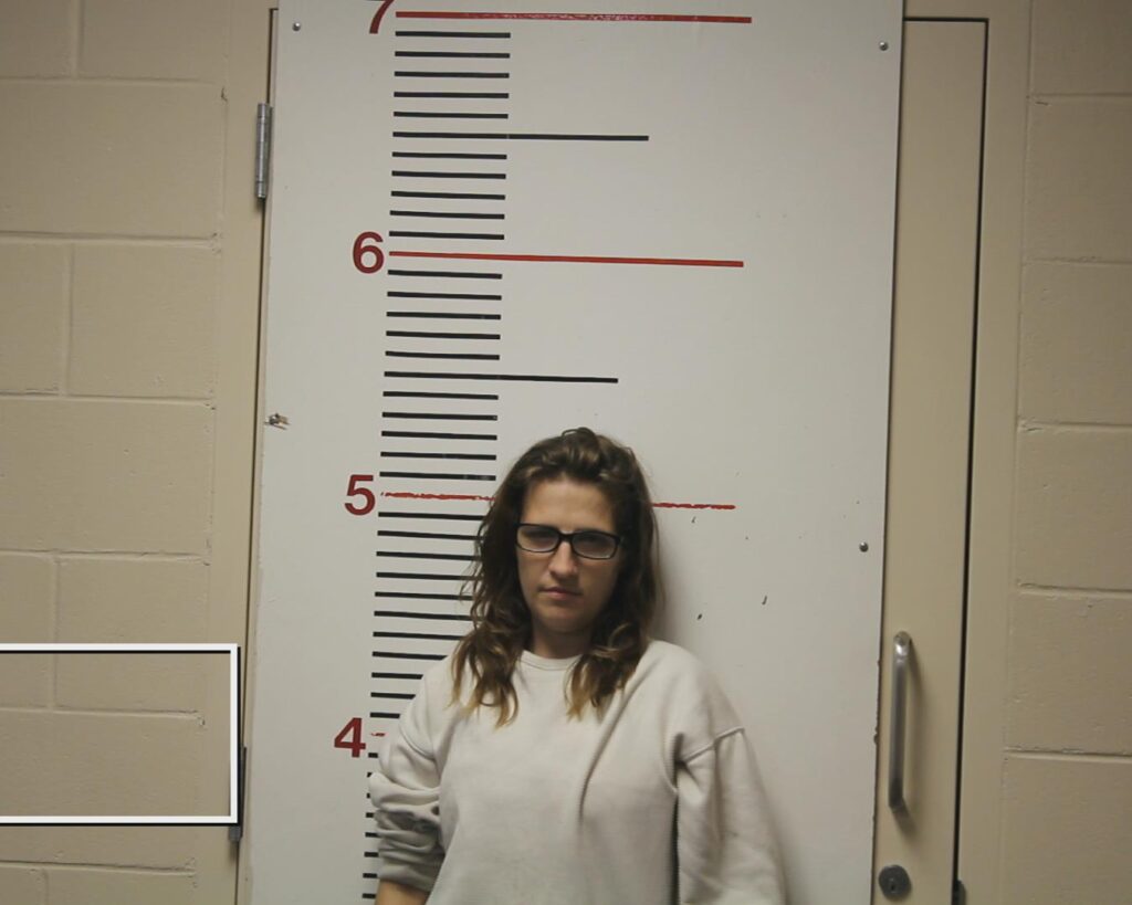 GIBSON, SHELBY LYNN arrested in Anderson County, Texas mugshot