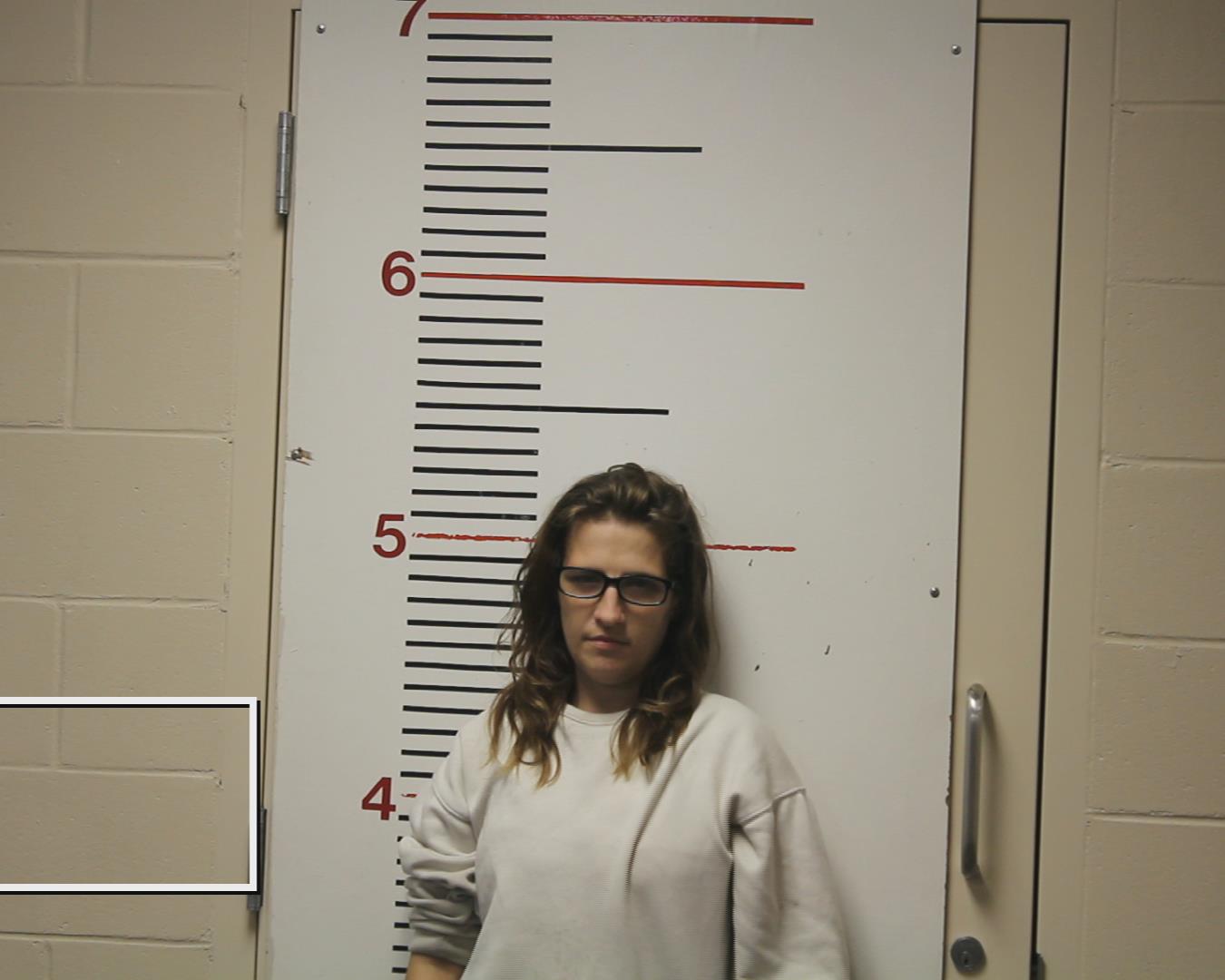 GIBSON, SHELBY LYNN booking photo