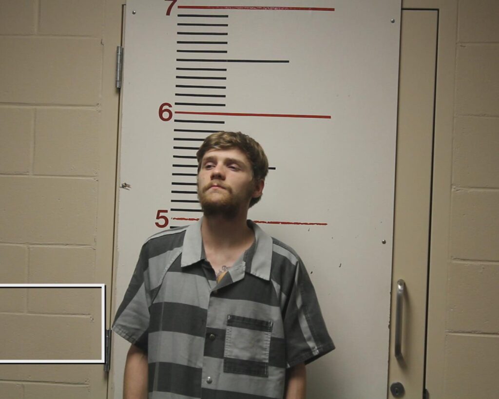 DENNIS, DILLAN THOMAS arrested in Anderson County, Texas mugshot