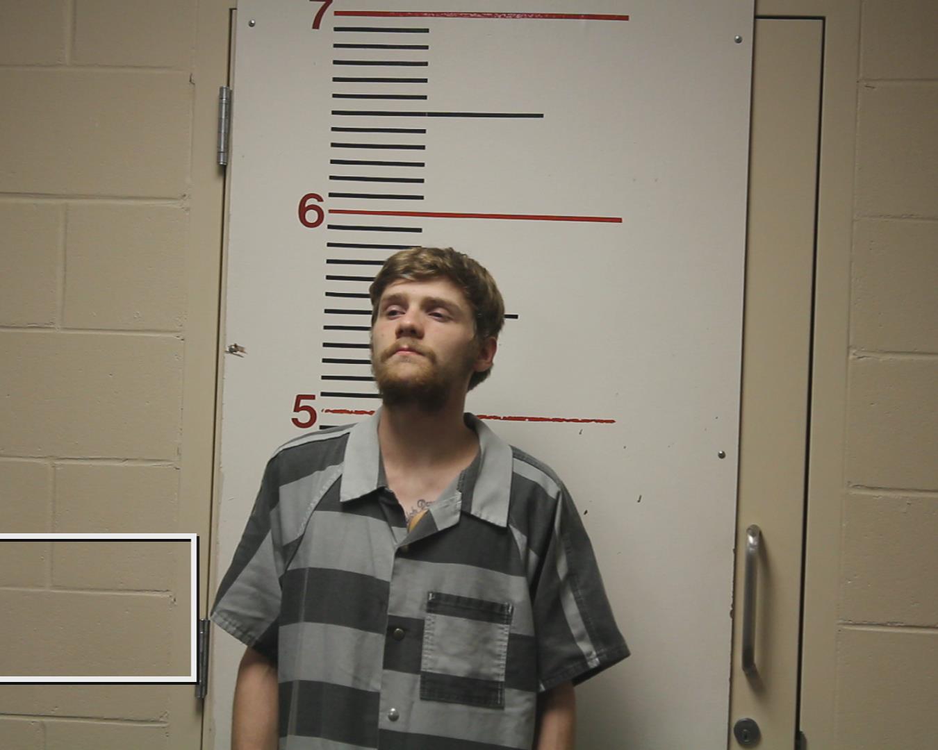 DENNIS, DILLAN THOMAS booking photo