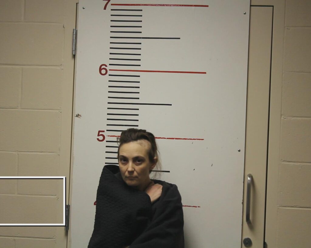 MUSICK, RHONDA LUANN arrested in Anderson County, Texas mugshot