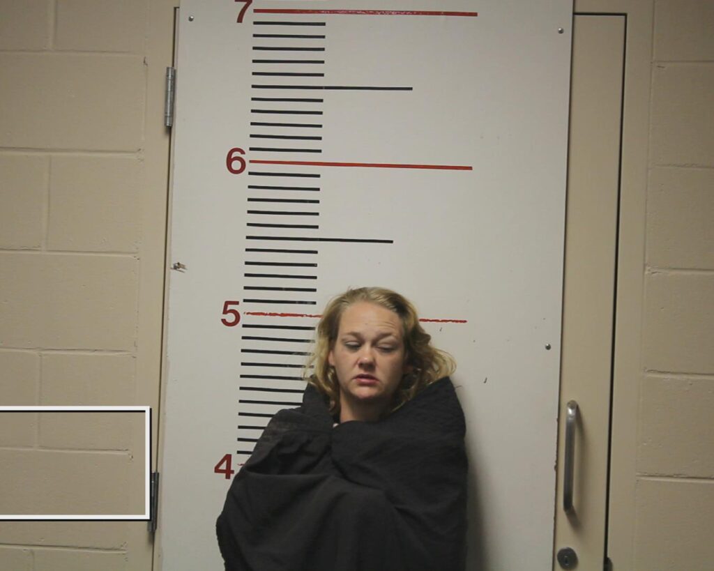 HOLDEN, ASHLEY NICOLE arrested in Anderson County, Texas mugshot