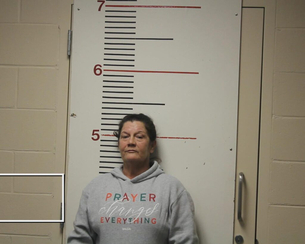 BOSTIC, MELINDA arrested in Anderson County, Texas mugshot