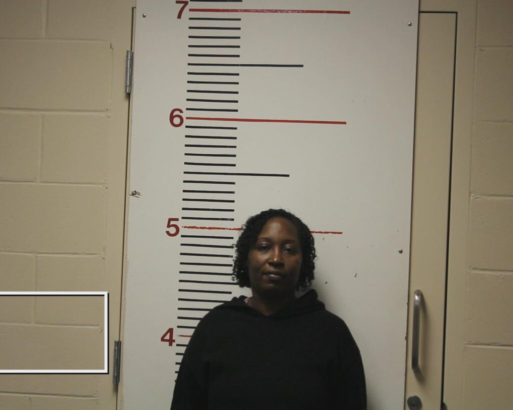 JOHNSON, NIKKY NICOLE arrested in Anderson County, Texas mugshot