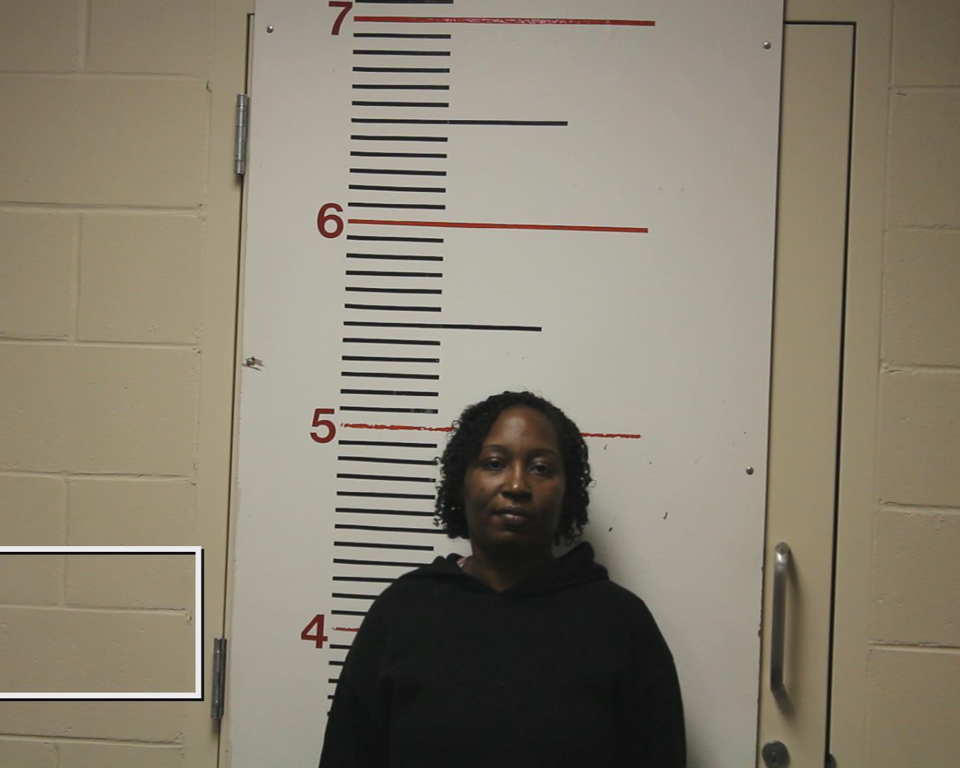 JOHNSON, NIKKY NICOLE booking photo