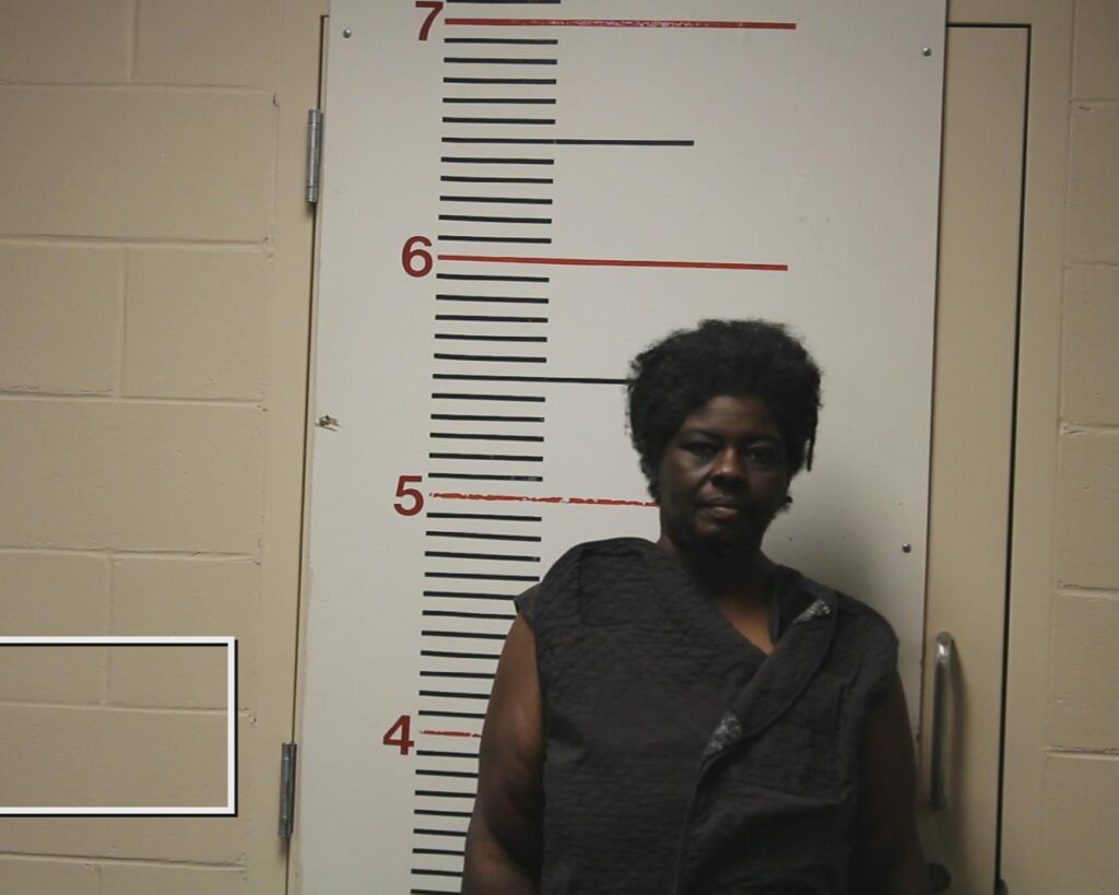 BUTLER, ALYSIA ANN arrested in Anderson County, Texas mugshot