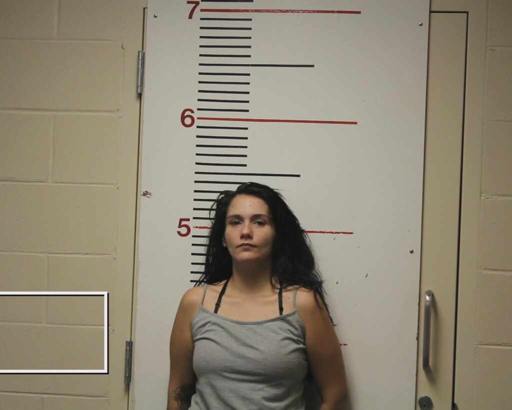 MCGEHEE, ZOE GABRIELLA arrested in Anderson County, Texas mugshot