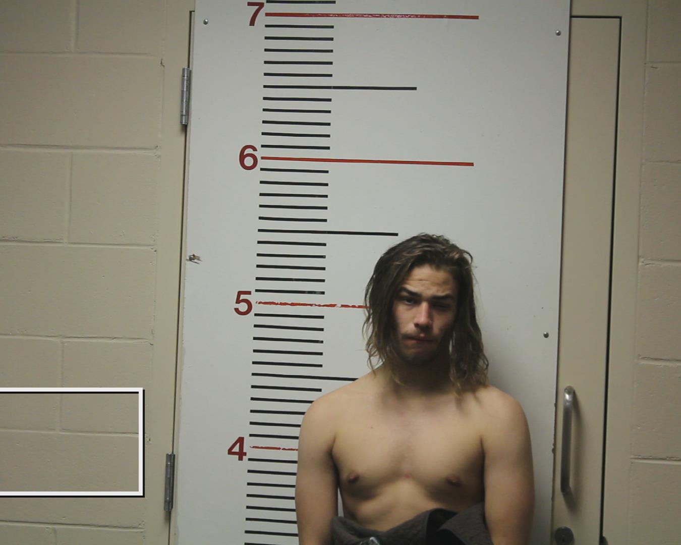 ROLAND HOWARD, CHARLES JASON, VI booking photo